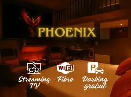 Suite Phoenix avec Cheminée, Terrasse et Videoprojecteur