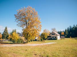 Bükkfői vendégház，位于Borzont的酒店