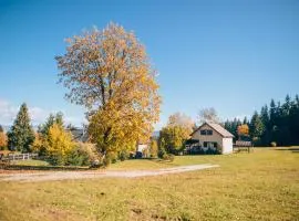 Bükkfői vendégház