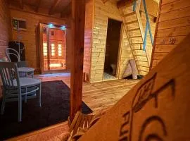 Apartament z antresolą Igły i Szyszki