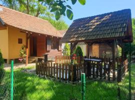 Radetov konak，位于Ðunis的酒店