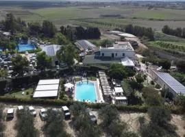 弗塔吉奥农家乐