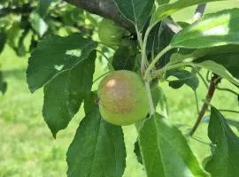 Auto camp Čarobna ravnica