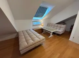 Pod-Inn 坡顶公寓-文化谷仓