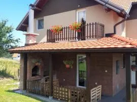 Apartmani Rajić, Tara