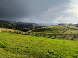 Cabana Maguri，位于Măguri的酒店