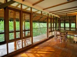 Solitude Munnar - Tree house