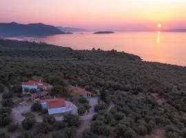 SIX INDEPENDENT HOUSES BY THE sea