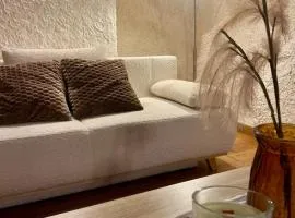 The Chalet - in the heart of Metz