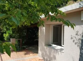 GITE BAS-EN-BASSET, HAUTE-LOIRE, MAISON et JARDIN ATYPIQUE PLEINE NATURE