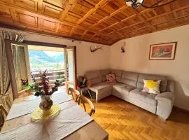 Stelvio House Bormio -wonderful view slope front