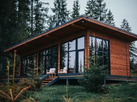 Inima Pustei Cabin，位于Măguri的木屋