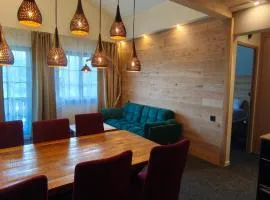 Frostana1600 - apartment in Portes du Soleil