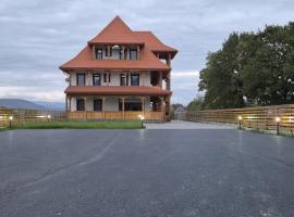Zestrea Maramureșului Săp&acirc;nța，位于瑟彭察的住宿