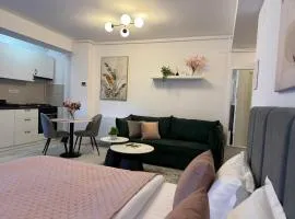 Sofia Residence-Otopeni Airport & Therme- Libertatii Gardens-Self Check-in