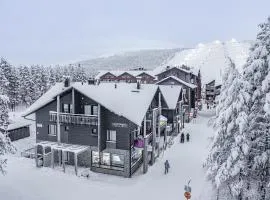 Levin Stara A6 Visit Levi