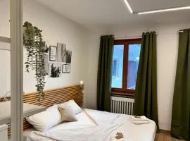 All'antico ulivo Affittacamere