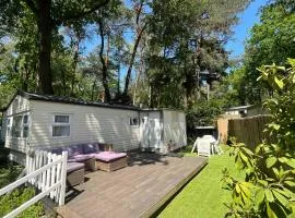 Cozy Mobile Home 'Tante Truus' met privé infrarood sauna - Recreatiepark 't Veluwshof - VELUWE