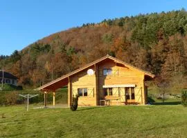 Chalet chaleureux avec terrasse, proche forêt et sentier, à 15 km des stations de ski de Gérardmer - FR-1-589-247