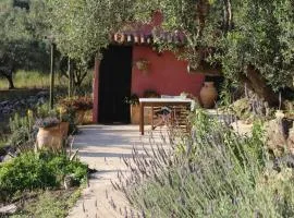 House in Organic Farm