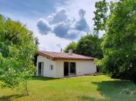 Réveil au chant des Oiseaux