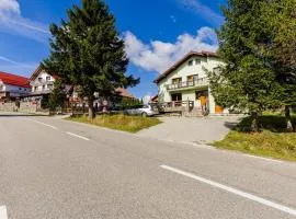 Vila Verde Păltiniș