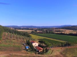 Agriturismo Podere Mulinaccio，位于Ribolla的农家乐