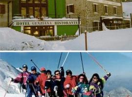 Albergo Genziana，位于帕苏·斯泰尔维奥的酒店