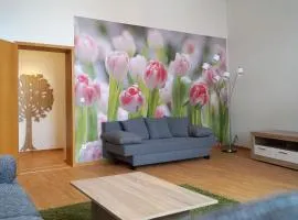 GUWO Gästewohnung Straupitzstraße 12