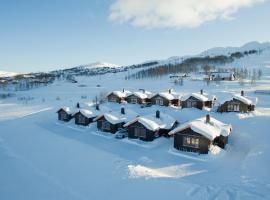 Rauland Feriesenter，位于Rauland的酒店