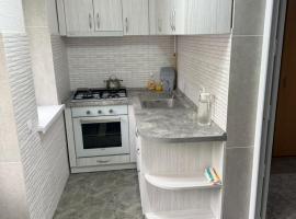 Домик в общем дворе с хозяином，位于Comrat的酒店