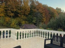 Pensiunea Ionela，位于莫伊西德约斯的酒店