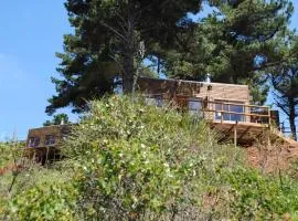 Cabañas & SPA Carilafquen