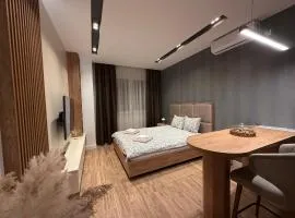 IL PRIMO Studio Apartment