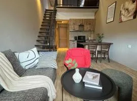 Two various entire apartments in New Gudauri -Redco, Near Main Gondola