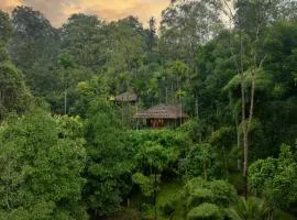 瓦亚纳德伍兹度假酒店