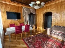 Sheki Modern Guest Home