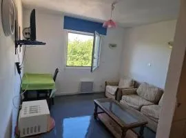 Studio confortable avec vue sur la ville à Dole, 25 m²