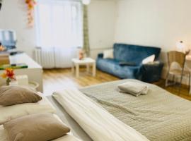 Duży apartament z kuchnią i łazienką w centrum Namysłowa，位于纳梅斯武夫的酒店