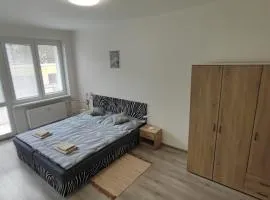 Apartmán V Kraslicích pro 4 osoby, Pohraniční stráže