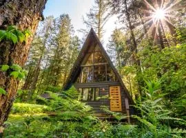 Modern A-Frame Cabin in the Woods