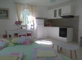 Apartments Barić Kučište