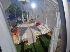 mauran berre insolite