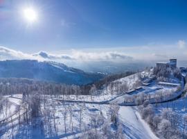瑞里博格酒店，位于苏尔的酒店
