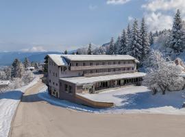 Hotel Polsa，位于布伦托尼科的酒店