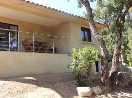 L'Ortu Di Pisettu -2