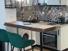 Bachner Rental Fagaras