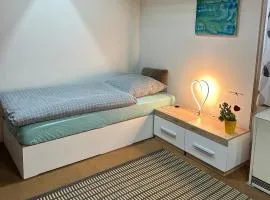 TONIS Room - WPA Apartments