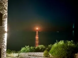 Magic estate in the wave 2