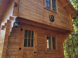 La Taniere du Renard，位于Saint-Onésime的酒店